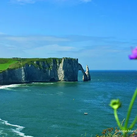 Le Domaine De Au Porte D'etretat Maniquerville